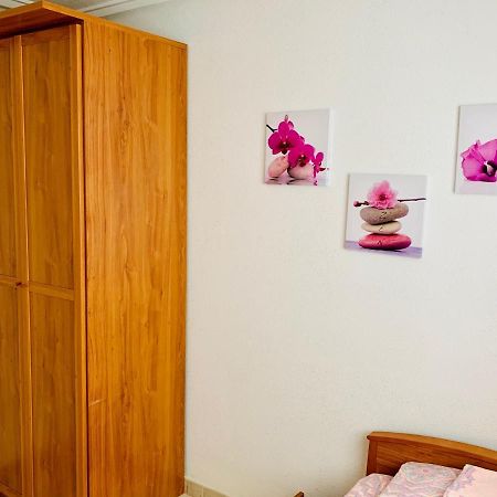 Apartamento Felix De La Fuente Torrevieja Exteriér fotografie