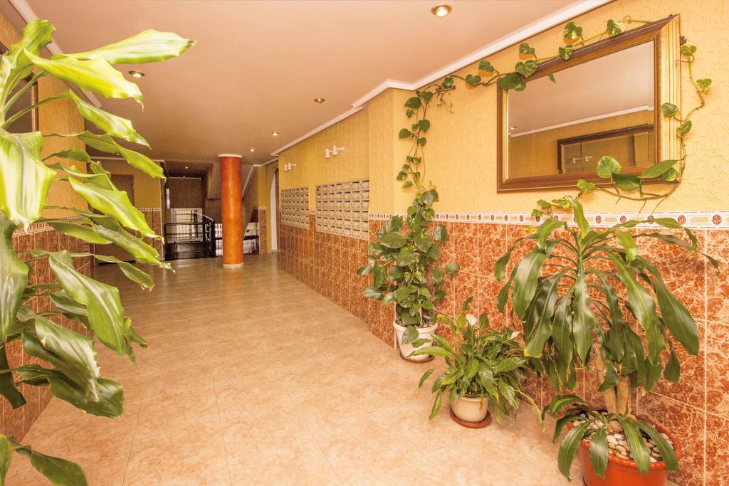 Apartamento Felix De La Fuente Torrevieja Exteriér fotografie
